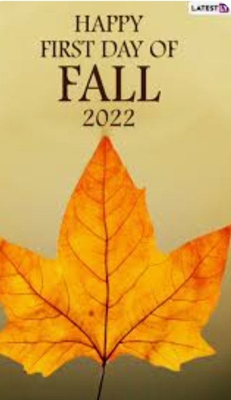 Denise Schmidt (@schmidtscience) on Twitter photo 