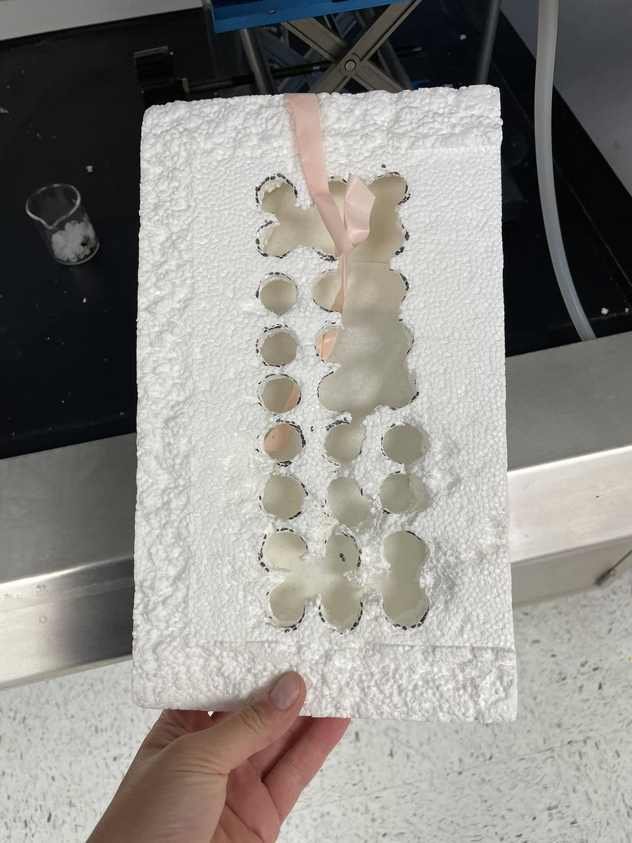 Jessica Cooperstone tweet media