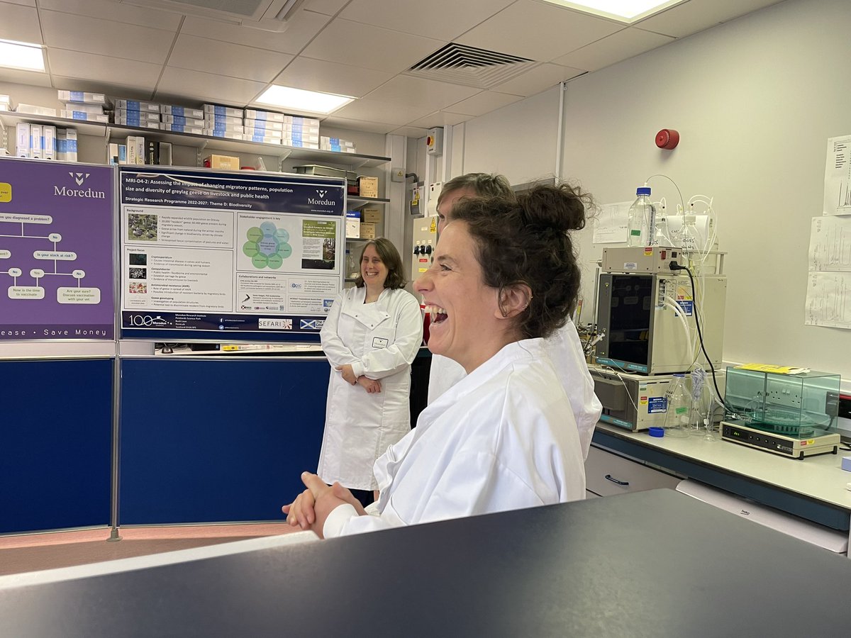 Sheila Voas tweet media