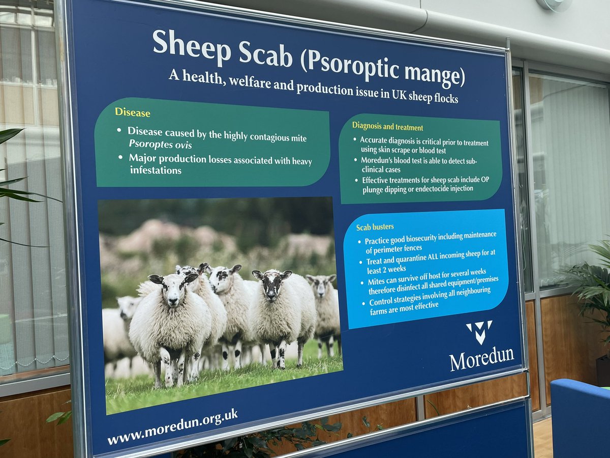 Sheila Voas tweet media