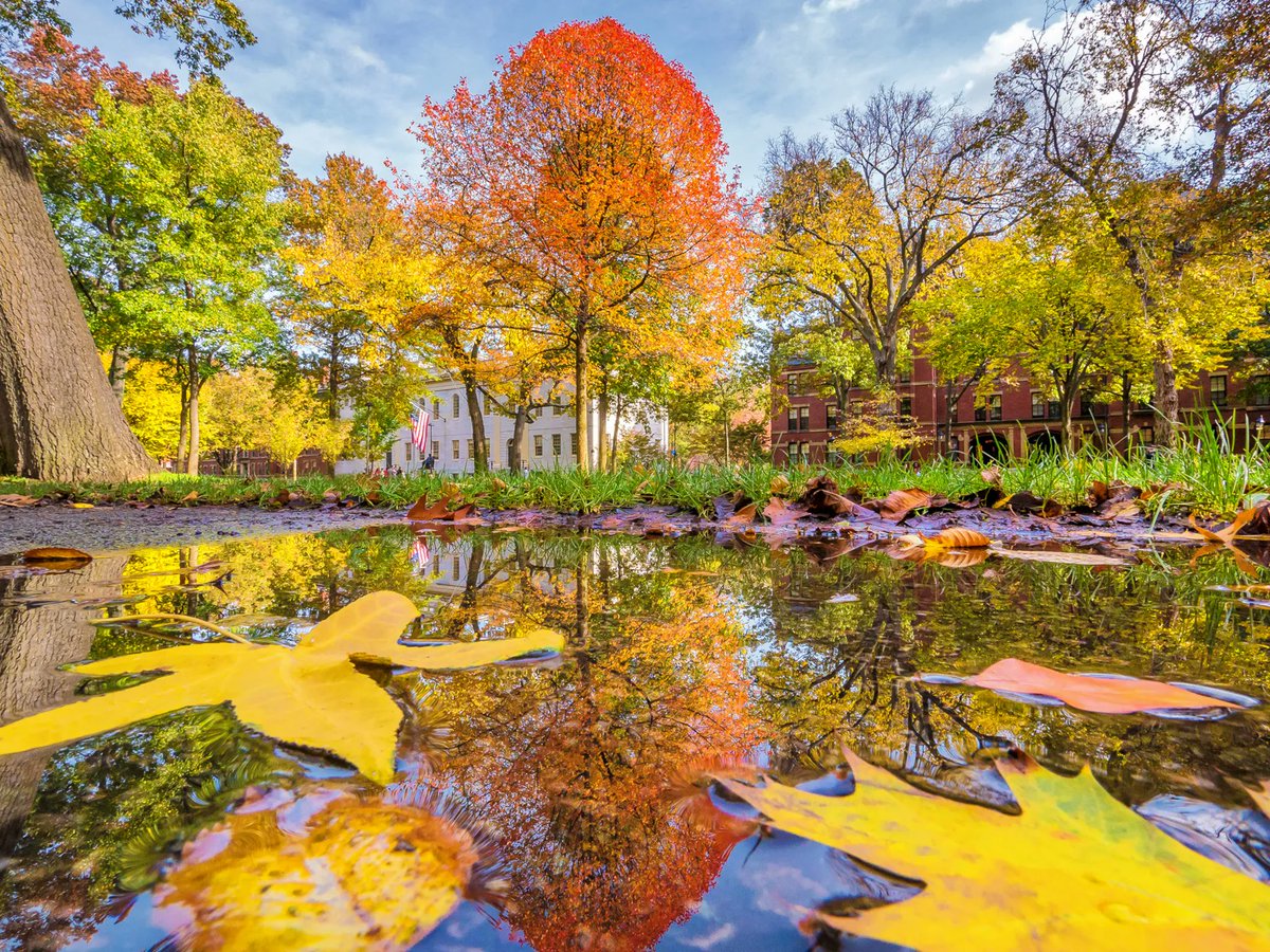 15 Ways to Have an Amazing Fall in Boston in 2022: What to do in Boston this Autumn buff.ly/3Uqz4Kg