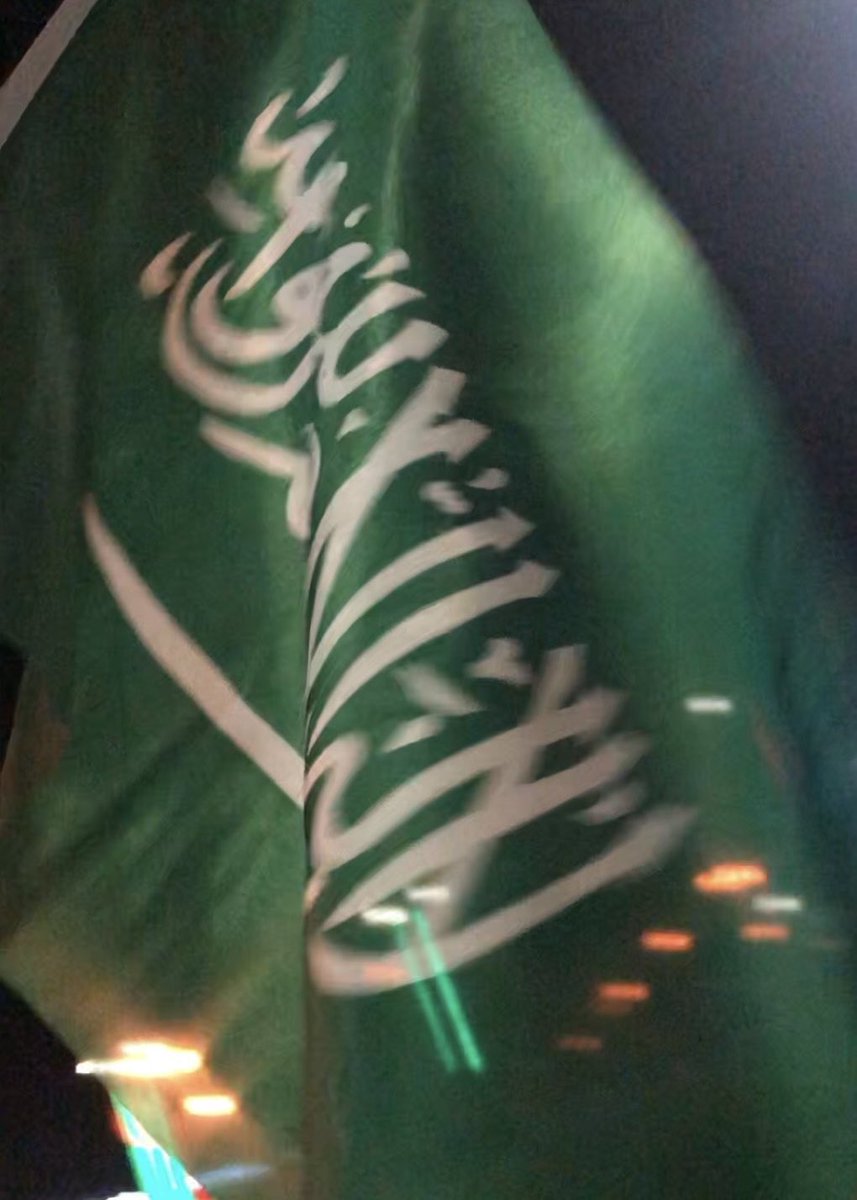 m9lu1's tweet photo. مَجدك لقدام وأمجادك ورىٰ.💚 https://t.co/iaSBWm1wF6