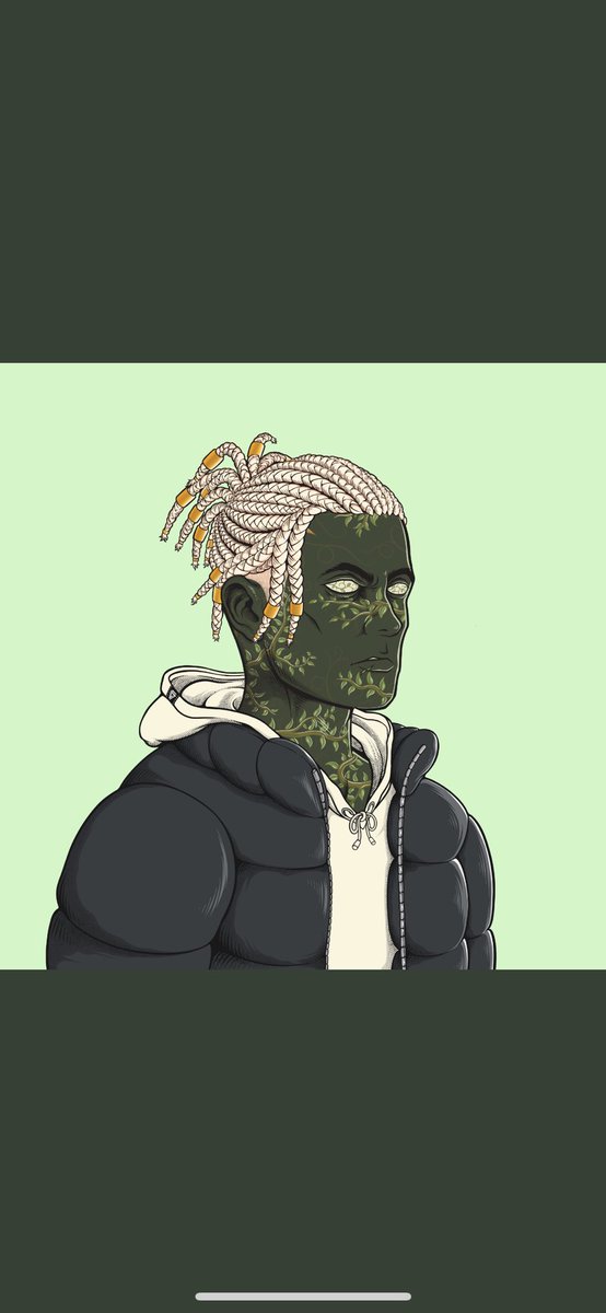 This art is fucken 🔥!! <a href="/VandalCityCorp/">VNDLS</a>
