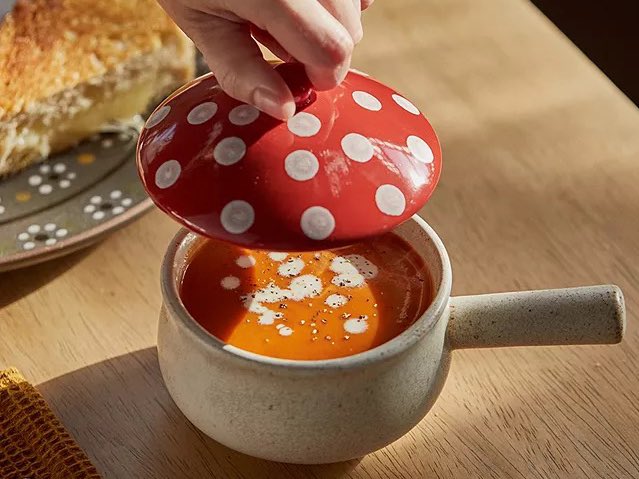 misty_horizons's tweet image. would anyone else really like to eat soup from the mushroom bowl? 🍄🍂