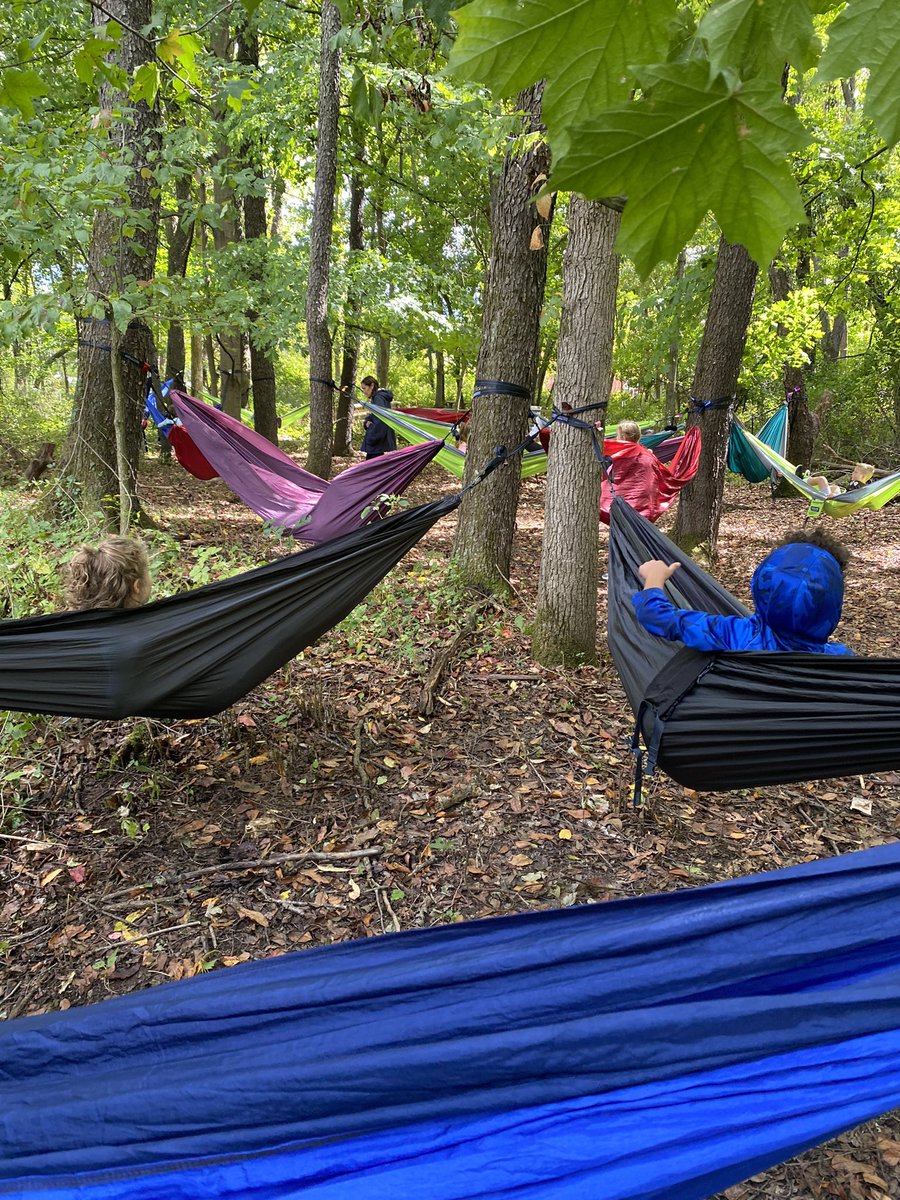 Shelly Horvath tweet media