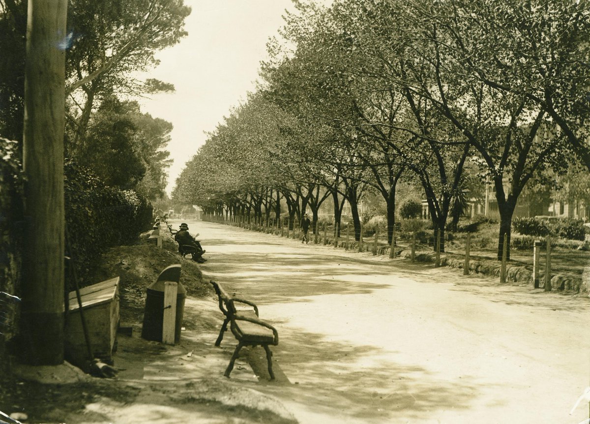 SLSA's tweet photo. If trees could talk, what would they say? They’ve provided humankind with food, shelter, timber, respite, even oxygen. October’s #LiveAnd Learn talk is dedicated to some of our states iconic and mighty trees. #NatureFestival #FreeEvent #libraries #slsa 
https://t.co/zzkVa8ytLL https://t.co/mfqs01GqWg