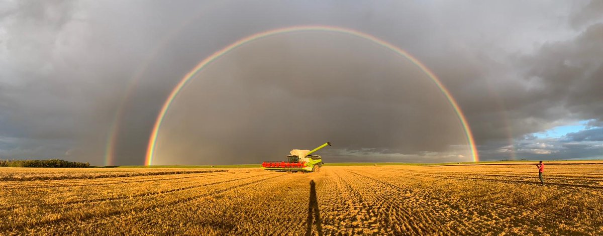 agwestltd's tweet photo. What a picture! Just amazing!

Taken while demonstrating the supreme capacity of a Lexion 8700TT and 1230 convio draper header in 20% moisture wheat at La Salle MB. 

Capacity without sacrifice.  Lexion.
Contact our reps to learn more. https://t.co/13BrP51Qpq