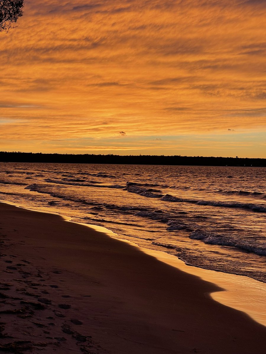 Brian Briski tweet media