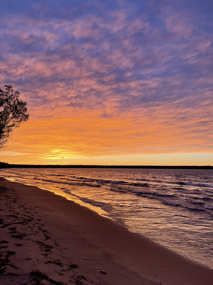 Brian Briski tweet media