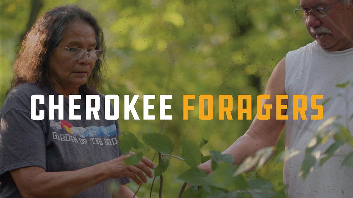 osiyo_tv's tweet photo. #CherokeeForagers are culture keepers. They take their knowledge of good medicine and natural resources and pass it on to future generations. Watch our Cherokee Foragers collection at: https://t.co/YLVV3gBxkA

📷 Pictured is Cherokee elder and environmentalist Roberta Sapp. https://t.co/fuoU36L1er