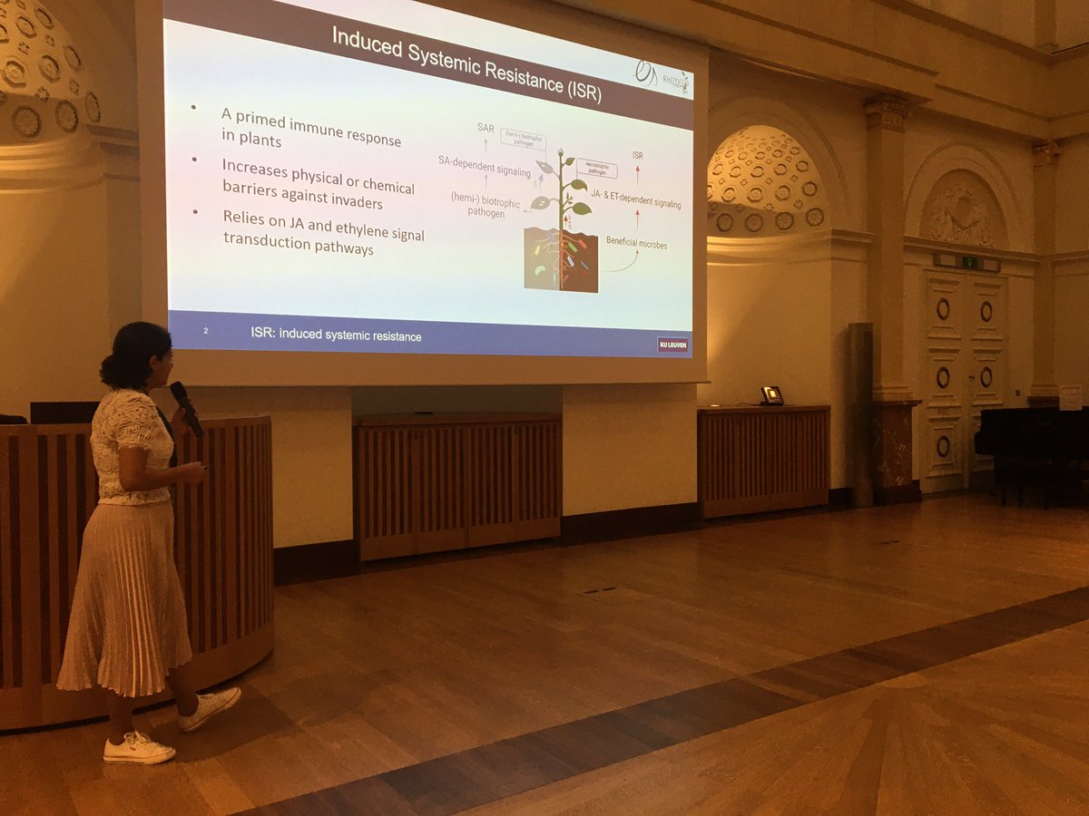 Busy week <a href="/lab_php/">PHP-Lab 🍓🍅🌈</a>. <a href="/YijieZhao8/">Yijie Zhao 🐰</a> presented her work on strawberry and Botrytis at #ISC2022, <a href="/VanLoockeKilian/">Kilian Van Loocke</a> presented his work on lettuce and biocontrol at SABB and <a href="/Heba_M_Ibrahim/">Hèba Ibrahim</a> presented her work on induced systemic resistance at the EOS FWO-FNRS workshop. Well done!