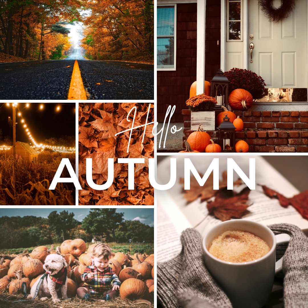 Who's ready for hot drinks and cold weather? 🙋‍♂️

What is your favorite autumn activity?🍂☕🎃

#AutumnEquinox #mortgageadvice #mortgagebroker