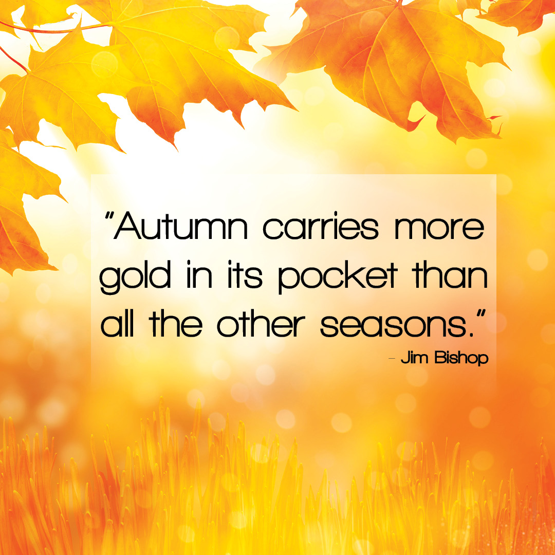 Fall is in the air 🍂🎃