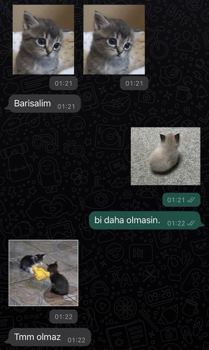 arkadasteroru's tweet photo. ev arkadaşımla ilk kavgam��z https://t.co/bjmSSEgDDY