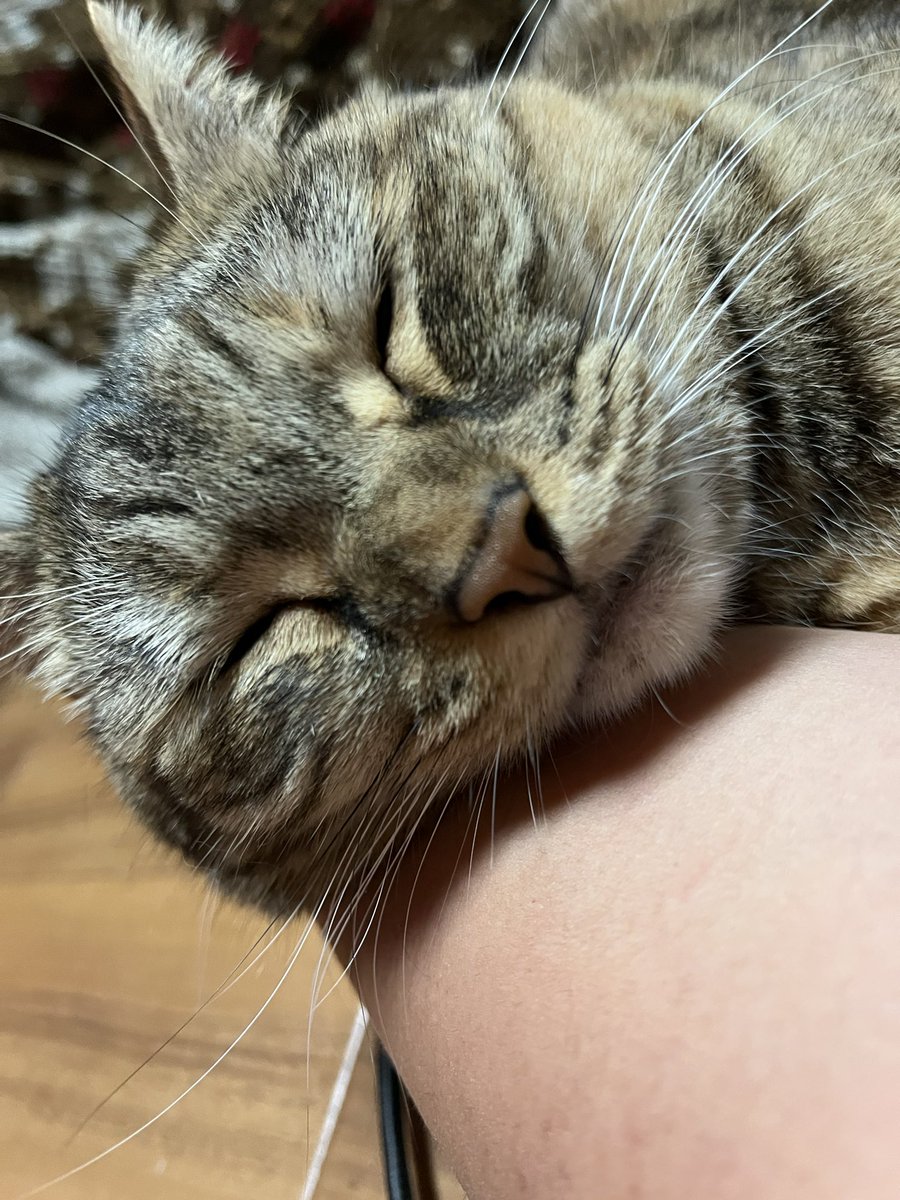 boudet_stephane's tweet image. Off ligne 😴😴😴✋😘