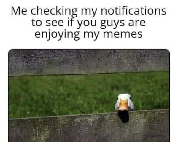 reebs ⚪⚫ tweet media