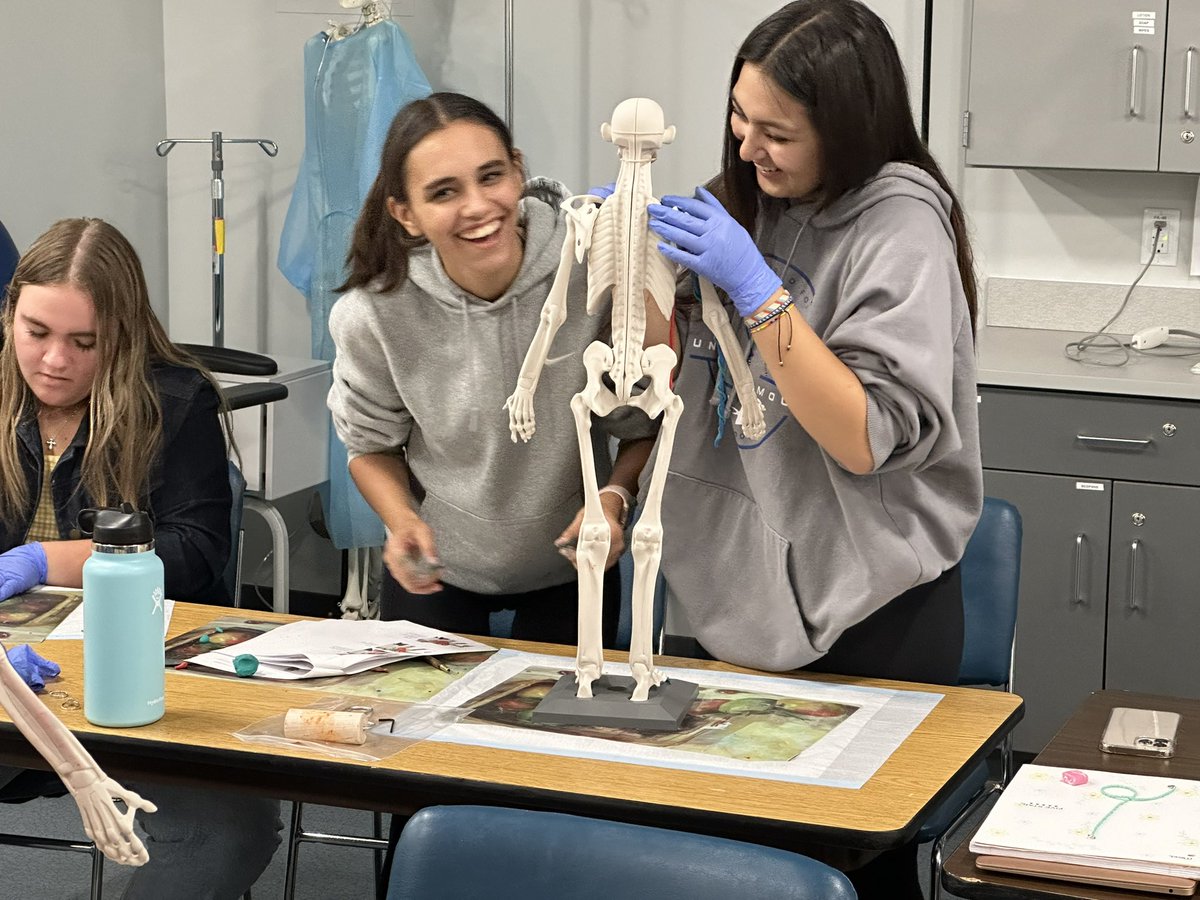 CampusThompson's tweet photo. The Health Science students were having fun today!!! They were learning about anatomy in clay https://t.co/5Nf6cqwjhQ
