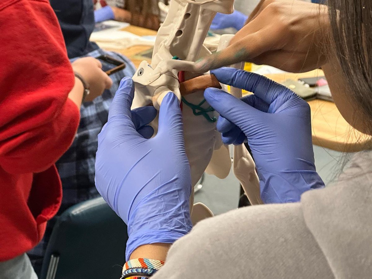 CampusThompson's tweet photo. The Health Science students were having fun today!!! They were learning about anatomy in clay https://t.co/5Nf6cqwjhQ