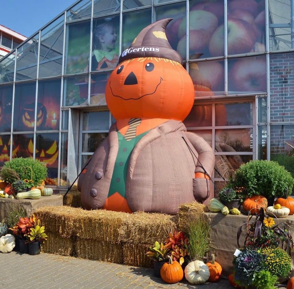 Landmarketer's tweet photo. Happy first day of fall! ๐ Meet Pumpkin Man, you can see him set up at @Gertens! Check out more of our inflatable mascots -> https://t.co/4MRNIyX6S5 #custominflatables #inflatablemascots https://t.co/SwP3KjsOVk