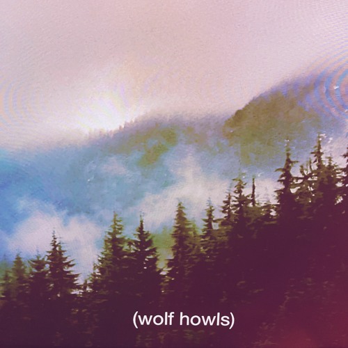 ChanceswWolves's tweet photo. https://t.co/RG1JZ4fINf https://t.co/BuR4RVZLPr