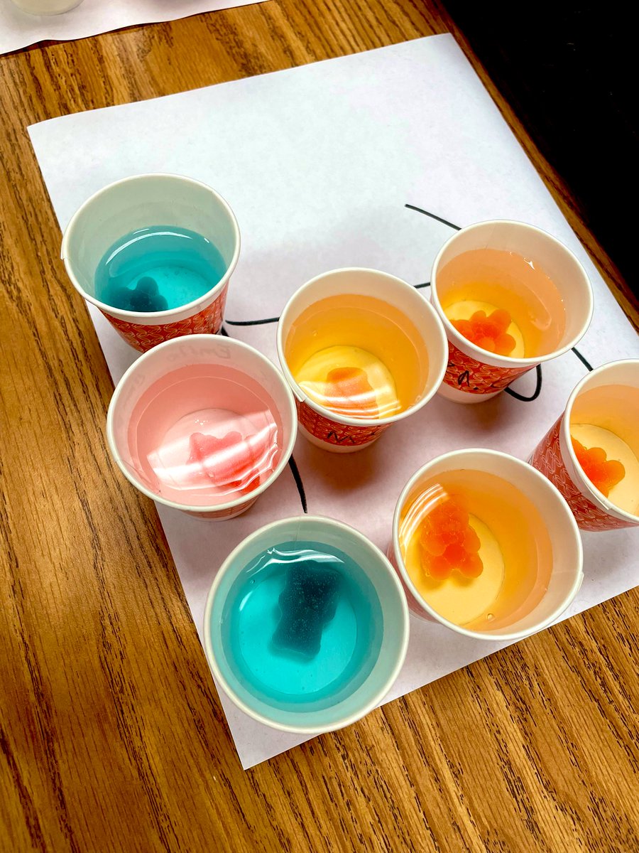 BHenry2020's tweet photo. All the pretty colors on this gummy bear osmosis lab Thursday! Collecting data and watching these little guys grow overnight😀🧬🧫🐻#KCbiology #celltransport @KleinCollins @KleinISD https://t.co/eWN1QXLLru