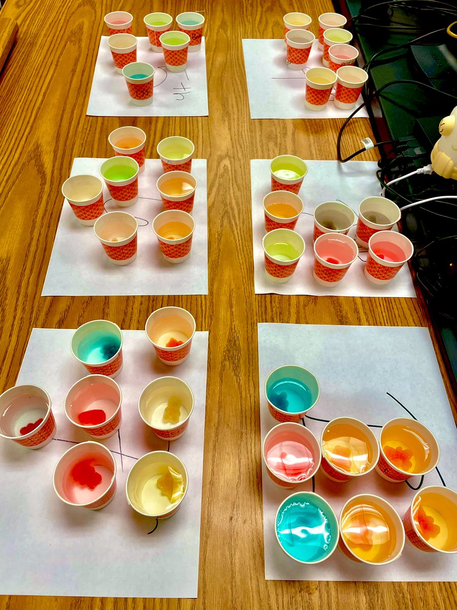 BHenry2020's tweet photo. All the pretty colors on this gummy bear osmosis lab Thursday! Collecting data and watching these little guys grow overnight😀🧬🧫🐻#KCbiology #celltransport @KleinCollins @KleinISD https://t.co/eWN1QXLLru