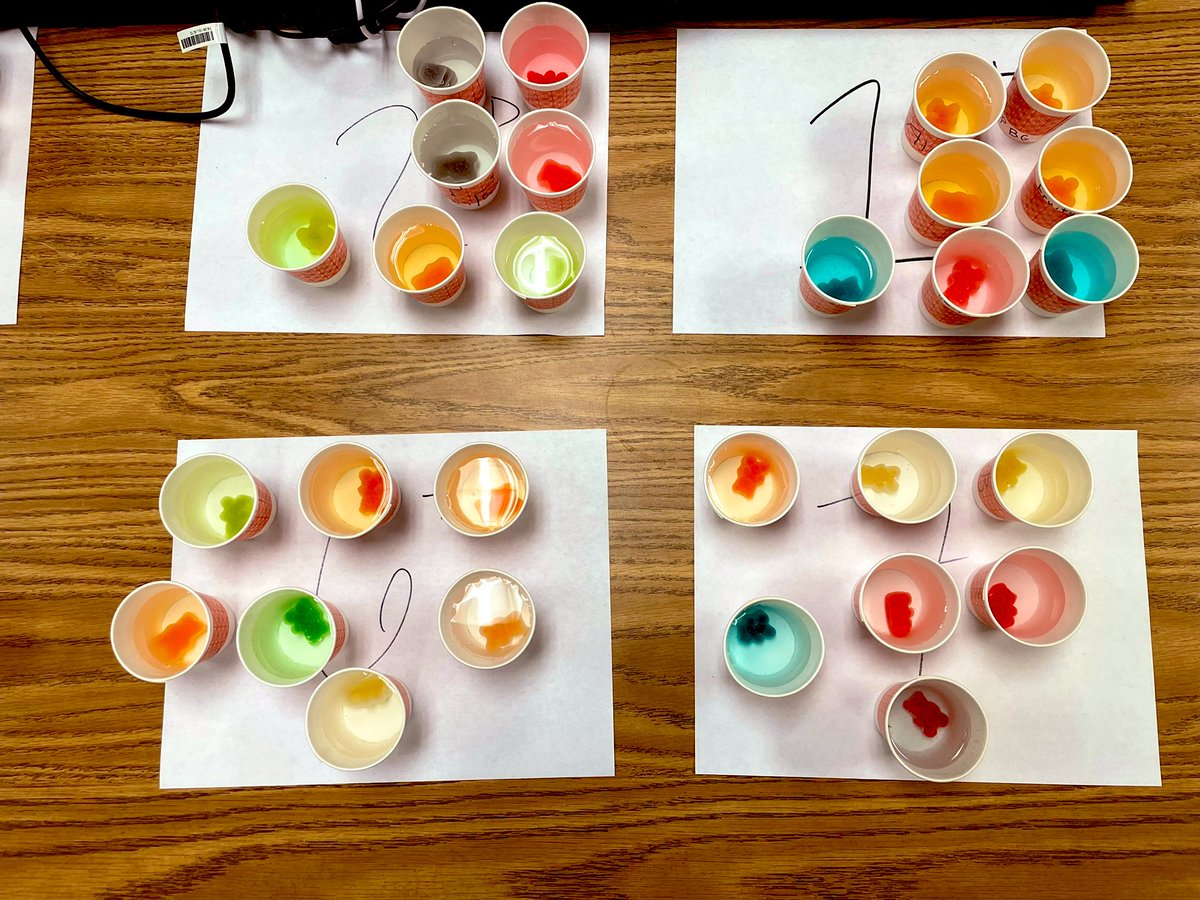 BHenry2020's tweet photo. All the pretty colors on this gummy bear osmosis lab Thursday! Collecting data and watching these little guys grow overnight😀🧬🧫🐻#KCbiology #celltransport @KleinCollins @KleinISD https://t.co/eWN1QXLLru