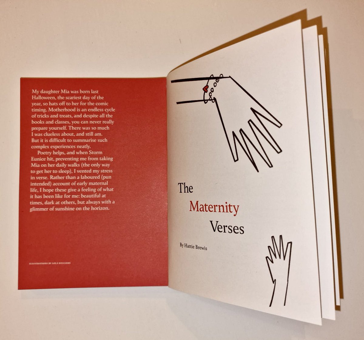 I’m immensely proud that a collection of poems I wrote about early motherhood feature in @tortoise’s latest quarterly, even if seeing my name alongside the likes of @simon_schama gives me terrible imposter syndrome… Thanks to the inimitable @Flopper57 for making it happen 👑