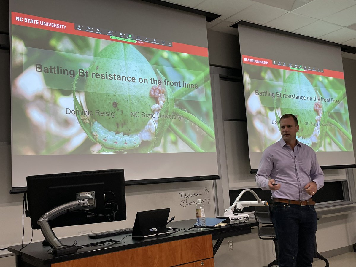 Phil Kaufman (@tamubugs) on Twitter photo Learning about Bt resistance today with our visiting seminar speaker <a href="/DominicDReisig/">Dominic Reisig</a> from <a href="/NCSU_DEPP/">NCSU Entomology & Plant Pathology</a> after a great day learning about his program. #tamubugs Learning about Bt resistance today with our visiting seminar speaker <a href="/DominicDReisig/">Dominic Reisig</a> from <a href="/NCSU_DEPP/">NCSU Entomology & Plant Pathology</a> after a great day learning about his program. #tamubugs