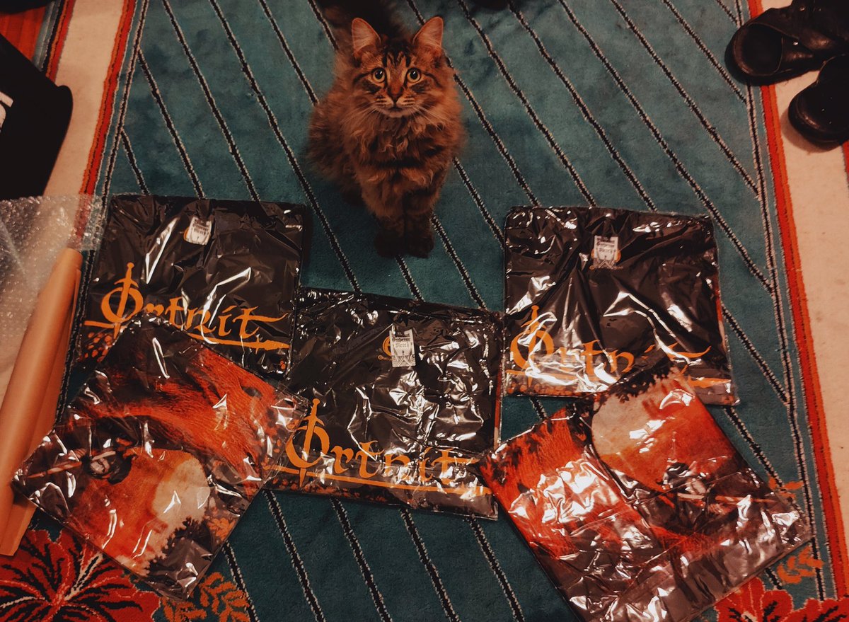 OrkoProduction's tweet photo. Official ‘Ortnit’ t-shirts are alive now!
Hit the link!
https://t.co/ZhnM3KbHul
#dungeonsynth
#thomashelm
#empyrium
#ortnit https://t.co/hFHWahVBQH