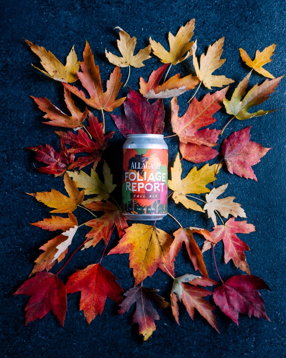 AllagashBrewing's tweet photo. The weather (and the calendar) has us feeling autumnal, and that means glorious fall foliage. But even more importantly, it means the return of Foliage Report, our Belgian-style dubbel bursting w/notes of toffee, caramel, &amp; classic fruitiness. Now available only at the brewery. https://t.co/kqDnYcvFPx