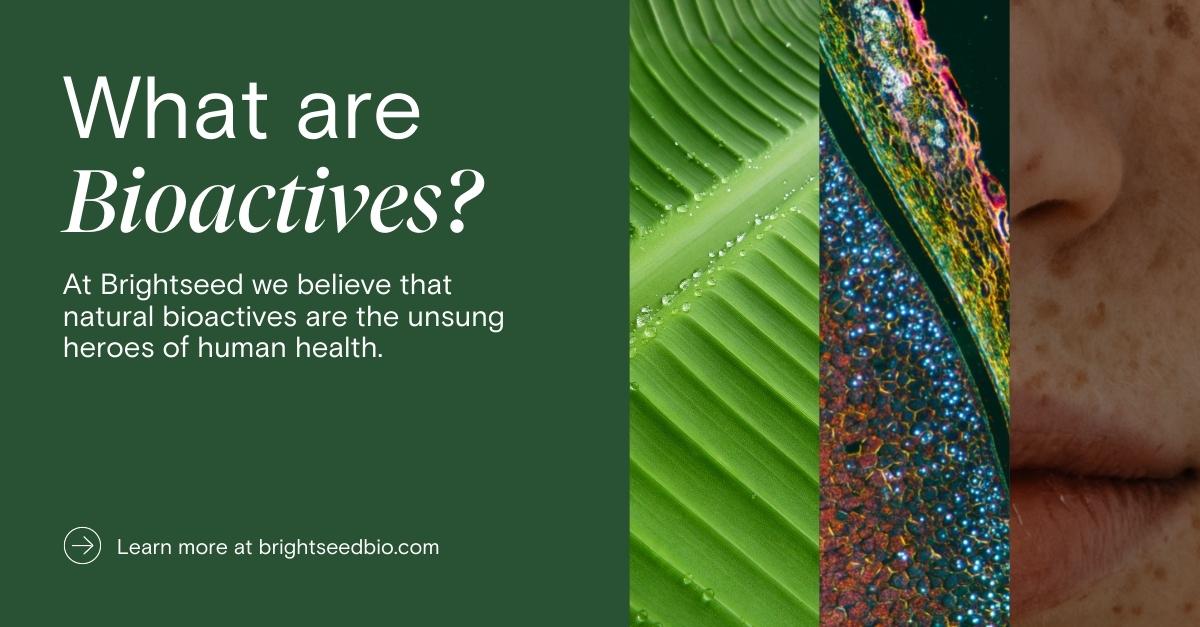 At Brightseed we believe natural bioactives are the unsung heroes of human health.

These tiny compounds inside plants can trigger a cascade of biological responses that may support our health and daily functioning when we consume them. 

Learn more at brightseedbio.com