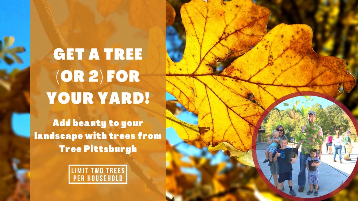 Upstream Pittsburgh ๐๏ธ (@upstreampgh) on Twitter photo Think your yard could use a new tree? We do! And so do our friends <a href="/TreePgh/">Tree Pittsburgh</a>. Order a tree and pick it up at one of their convenient locations during their pickup days from late Sept. through early Nov! Reserve soon as we hear these trees are pretty poplar!
treepittsburgh.org Think your yard could use a new tree? We do! And so do our friends <a href="/TreePgh/">Tree Pittsburgh</a>. Order a tree and pick it up at one of their convenient locations during their pickup days from late Sept. through early Nov! Reserve soon as we hear these trees are pretty poplar!
treepittsburgh.org