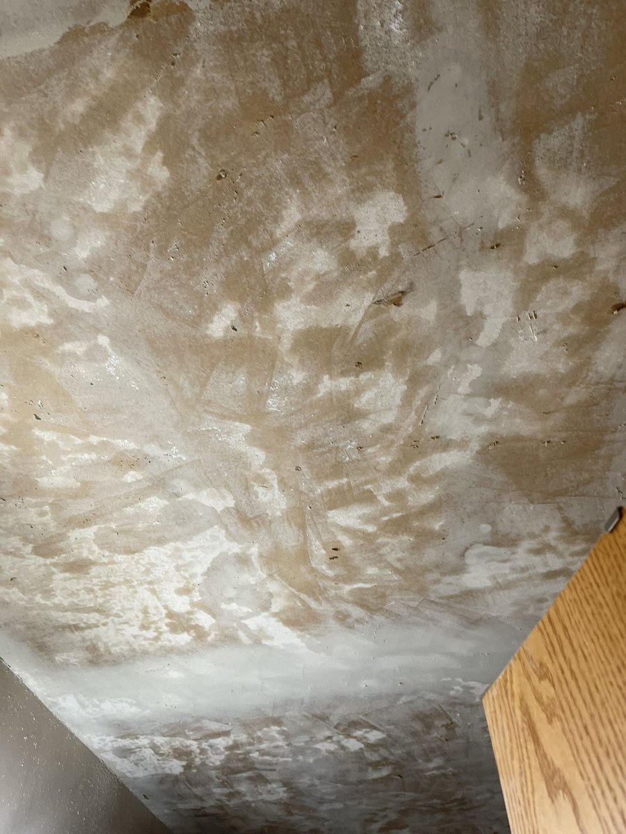 Uflufflive's tweet photo. Update on home repairs: flooring removed, drywall started, and popcorn ceiling successfully removed https://t.co/ITS1XazSID