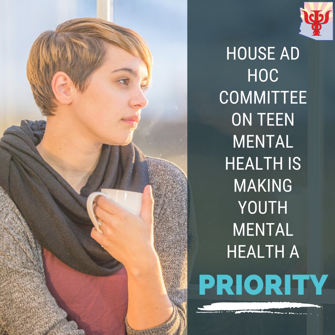 AzPsychSociety's tweet photo. Teen Mental Health House Ad Hoc Committee, Representatives Joanne Osborne, Alma Hernandez, and Travis Grantham, and a diverse membership incl psychiatrist Jasleen Chhatwal, MD, working to making youth mental health a priority, present work group outcomes 9-26.  #suicidepreventio https://t.co/di9p6rup8P