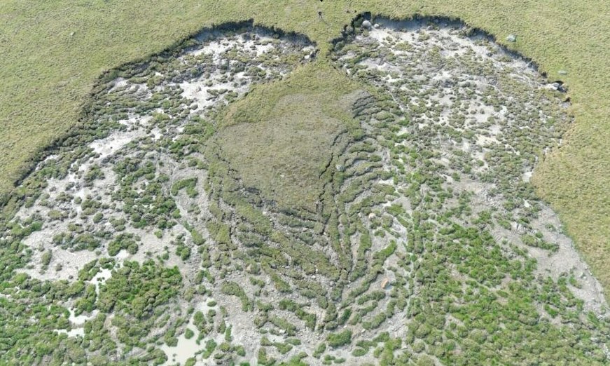 Mark J. Lara (@mjlara71) on Twitter photo Exciting NASA funded Postdoc opportunity in Arctic Disturbance Ecology! Please share!
Apply here: mjlara.web.illinois.edu/wp/postdoc-pos…
<a href="/PostdocJobs/">PostdocJobs.com</a> <a href="/ESA_org/">Ecological Society</a> <a href="/theAGU/">AGU (American Geophysical Union)</a> <a href="/uspermafrost/">uspermafrost</a> <a href="/NASA_ABoVE/">NASA_ABoVE</a> <a href="/PolarImpact/">Minorities in Polar Research</a> <a href="/RemoteSens_MDPI/">Remote Sensing MDPI</a> <a href="/NASAEarth/">NASA Earth</a> Exciting NASA funded Postdoc opportunity in Arctic Disturbance Ecology! Please share!
Apply here: mjlara.web.illinois.edu/wp/postdoc-pos…
<a href="/PostdocJobs/">PostdocJobs.com</a> <a href="/ESA_org/">Ecological Society</a> <a href="/theAGU/">AGU (American Geophysical Union)</a> <a href="/uspermafrost/">uspermafrost</a> <a href="/NASA_ABoVE/">NASA_ABoVE</a> <a href="/PolarImpact/">Minorities in Polar Research</a> <a href="/RemoteSens_MDPI/">Remote Sensing MDPI</a> <a href="/NASAEarth/">NASA Earth</a>