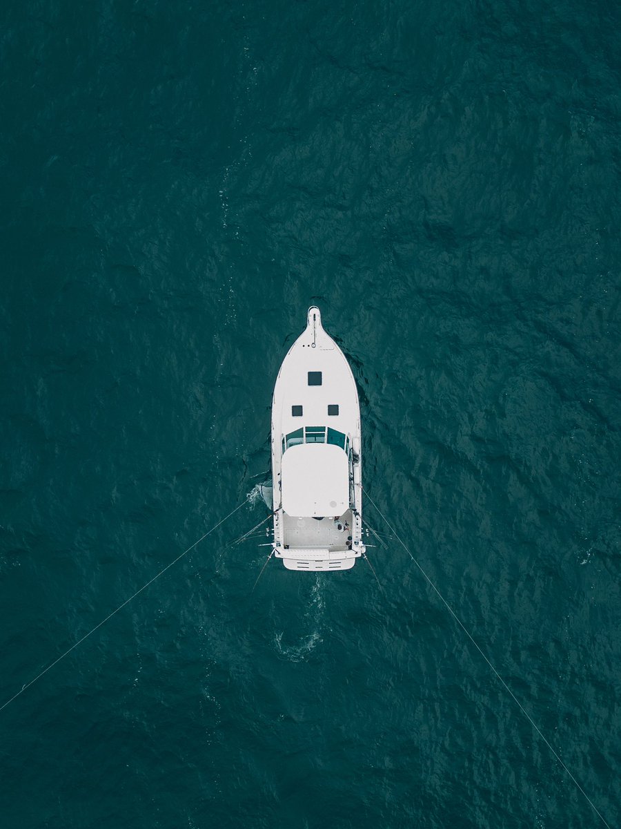 Sessions Highlife tweet media