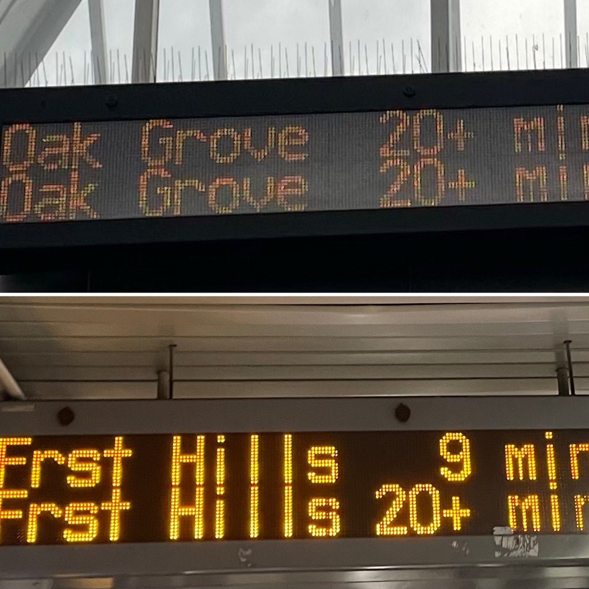 Esperance Schaefer MD tweet media