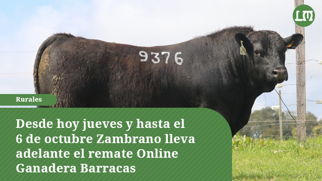 LaMananaRurales's tweet photo. El sistema de subastas online es nuevo, pero el escritorio tiene más de 5 años de experiencia acumulada. Es una innovación que vino para quedarse y que vendedores como compradores han asimilado.

Más información: https://t.co/4XW5lnpSHa 

@ZambranoyCia @Alezz20Ale https://t.co/Hb6EZxShwy