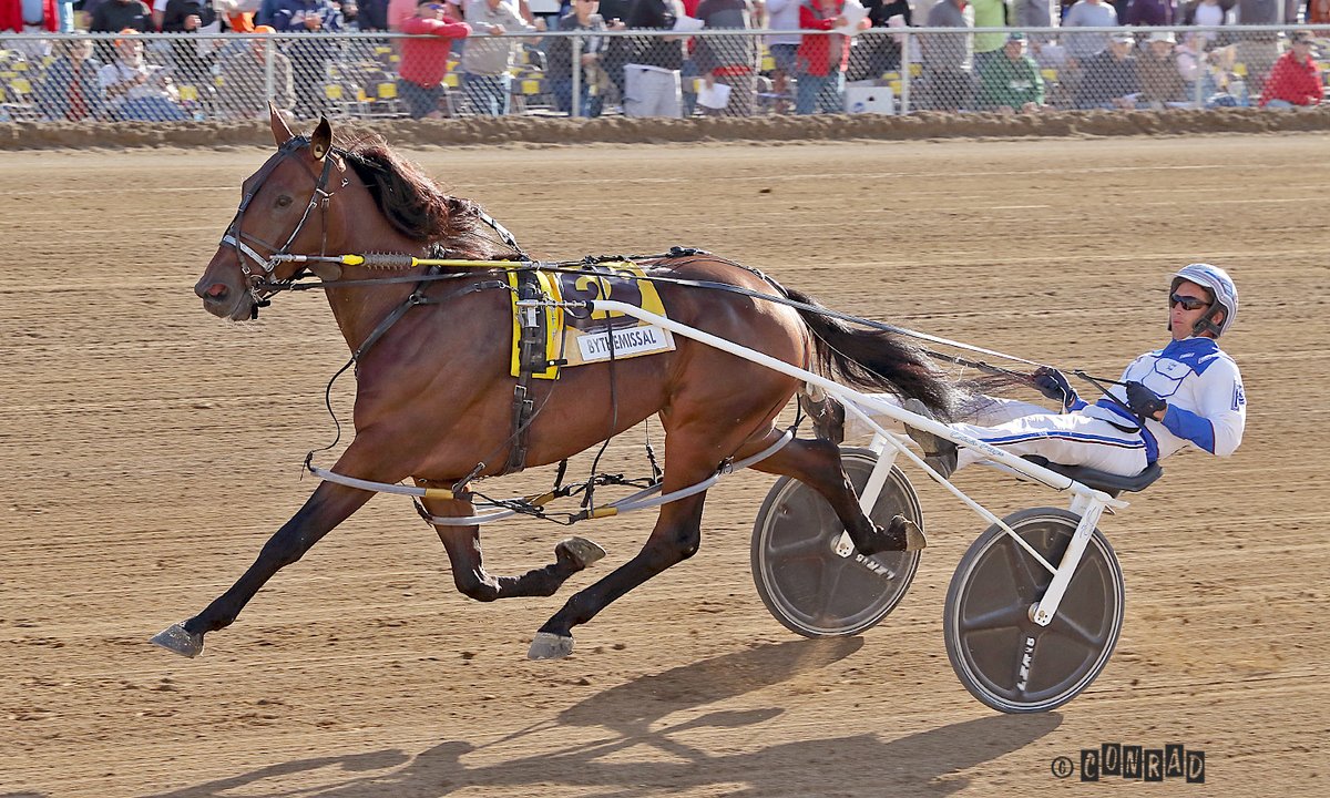 pacerfoto's tweet photo. Bythemissal easily wins the 1st elimination of the 77th Little Brown Jug at The Delaware County Fair.  Chris Page was in the sulky for Ron Burke.  The mile was paced in 1:51.3  #jug22 https://t.co/dSQX4N3f7Z