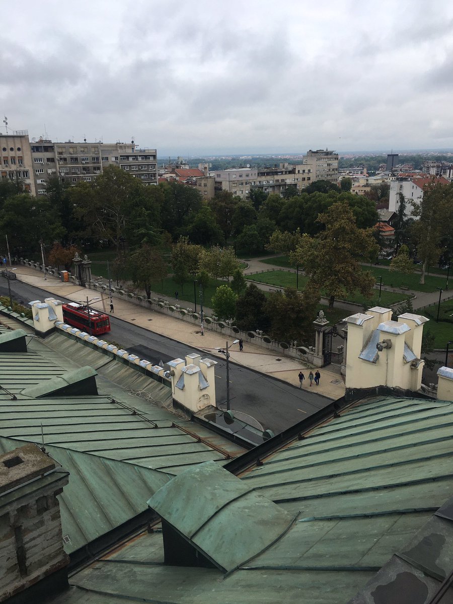 Dr Karl Royle tweet media