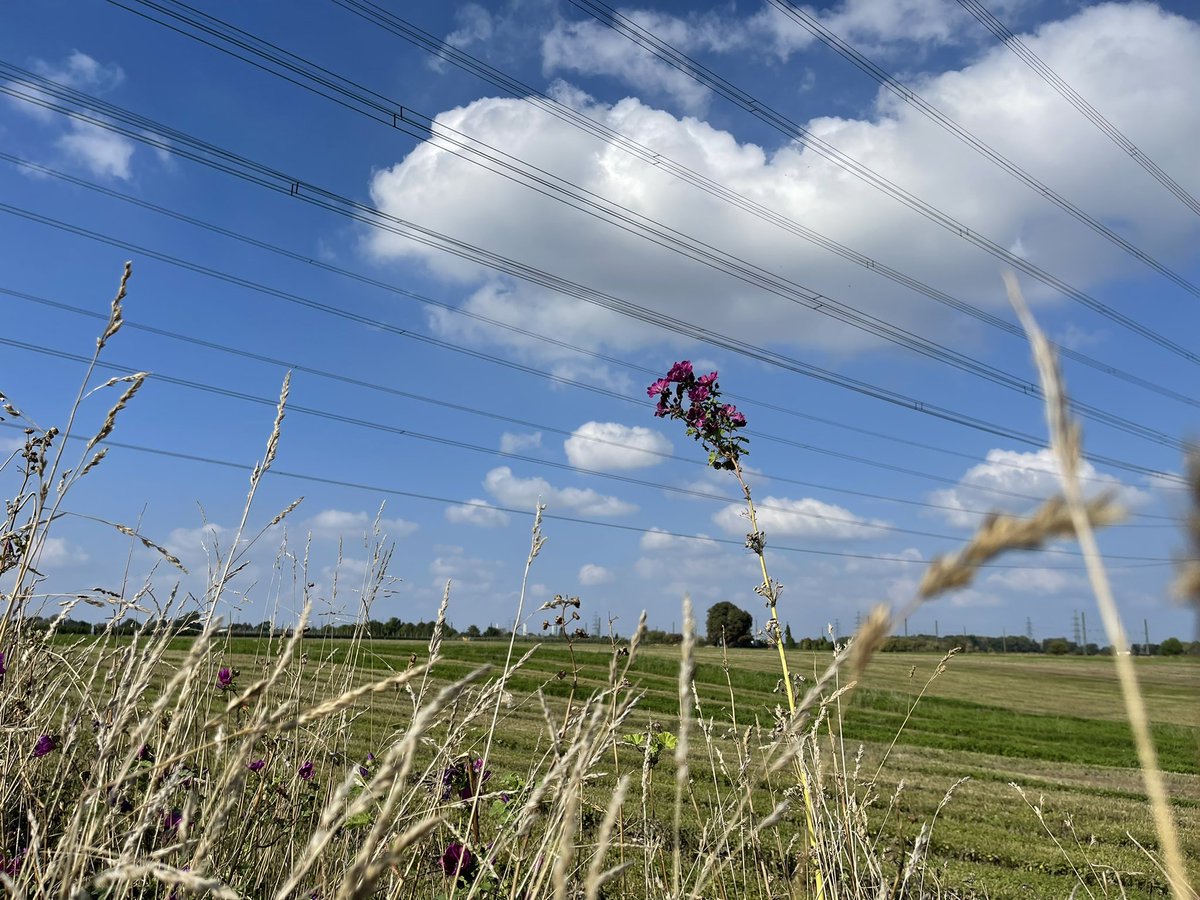 #MOVIMENTO gibt es jetzt auch an der #Erft. Am Sonntag 25.09. ist Premiere.  Nach der tollen Tour am Rhein geht die musikalische Entdeckungsreise jetzt weiter. Mitradeln und rein in den Musikgenuss! movimento-fahrradkonzert.de #Radtour #Fahrrad #Musik #Neuss #Grevenbroich
