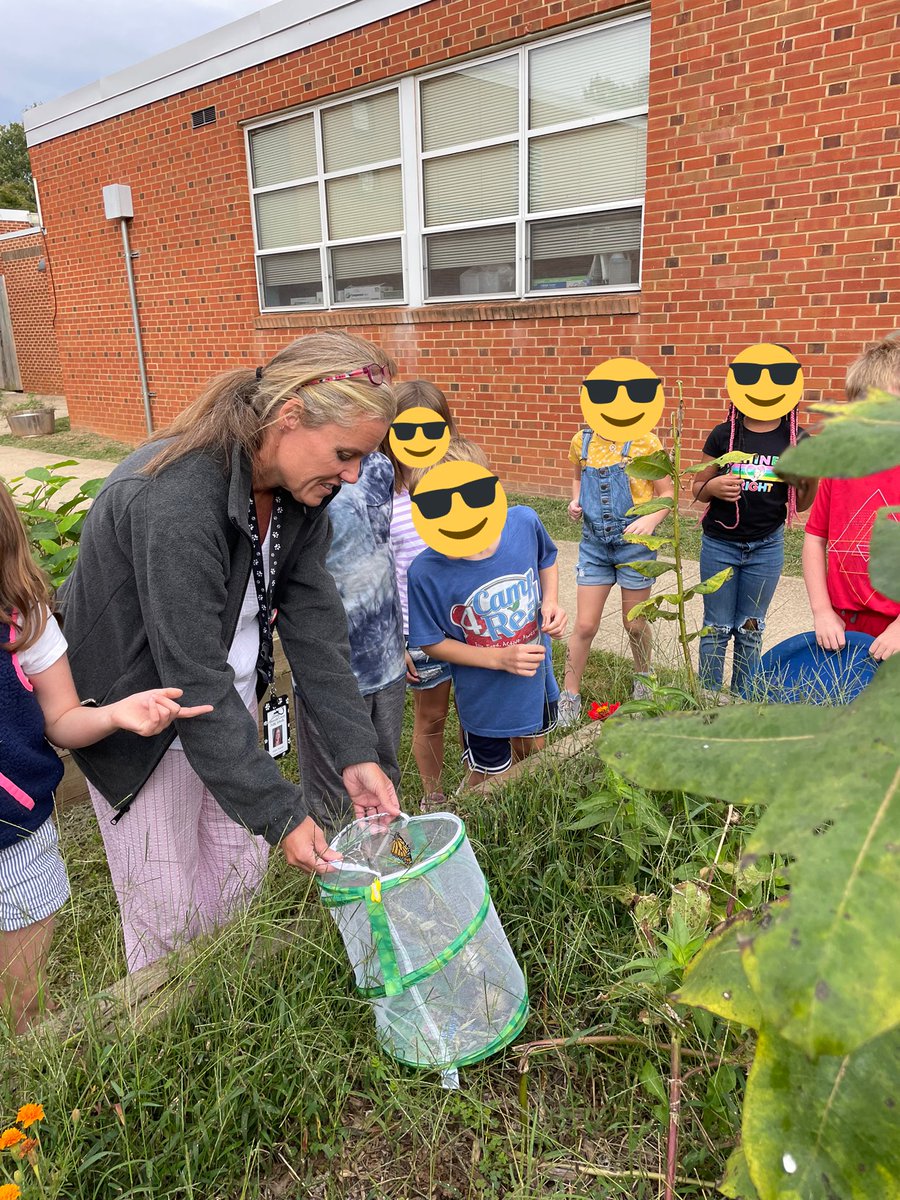 Bye bye, butterfly! 🦋 

Second graders at <a href="/stonypointschl/">Stony Point</a> watched the life cycle of these butterflies all the way from caterpillar to release day today 😊