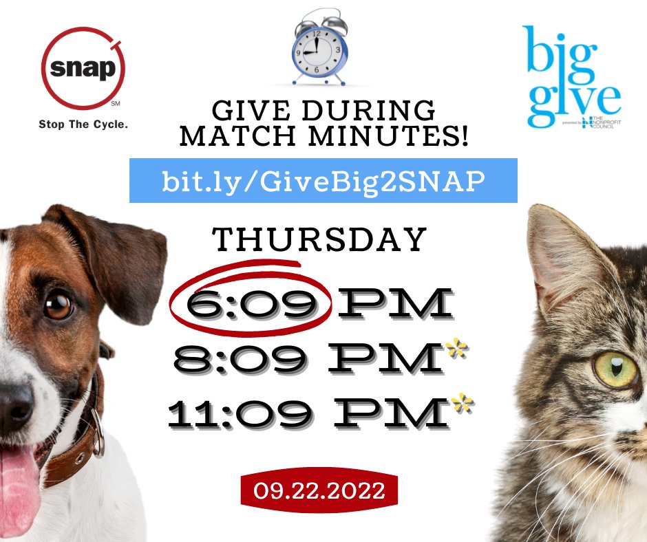 SNAPus's tweet photo. It's almost time for our first Match Minute opportunity in today's @TheBigGiveSA  fundraiser! https://t.co/Bm2DyhxdL8 https://t.co/pxpwCzFJlr