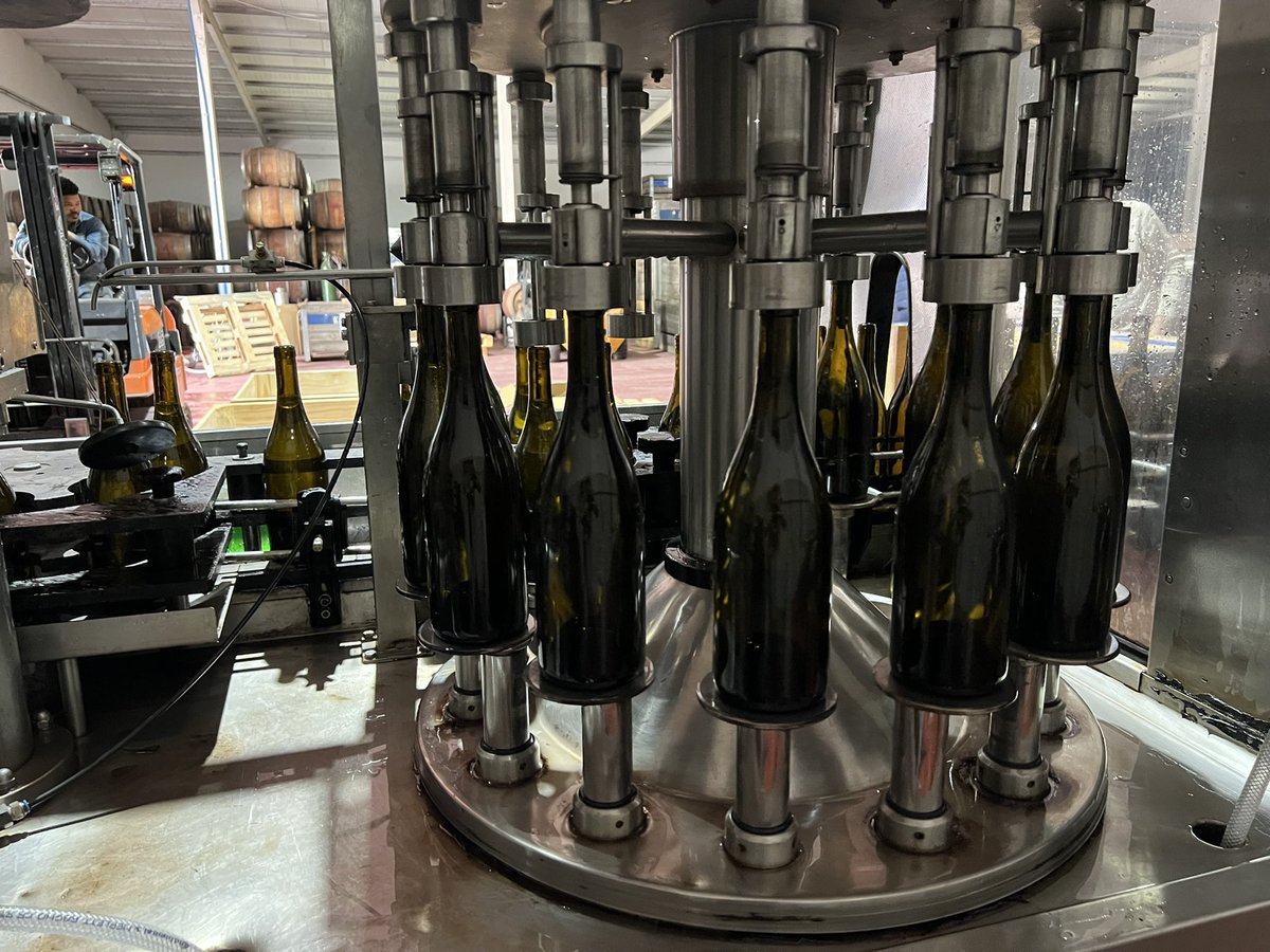 ClaytonJFoster's tweet photo. Vintage 1….check. So excited to keep building 🔥

@CollectibleVntg @garethferr @IanNaude 

#winelover #winetime #winemaking #vino https://t.co/ZT7DMDazLJ
