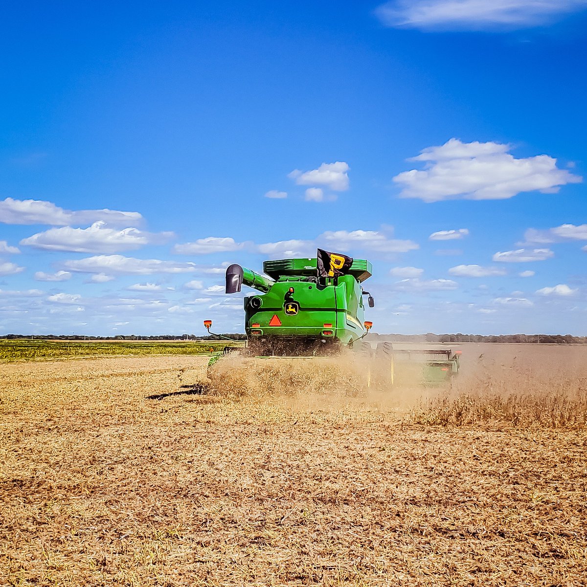 ACRE_Purdue's tweet photo. We are back in action! #harvest22 is underway at ACRE. Started in with some soybean harvest today, but first on the list was yield monitor calibration.
Happy harvest!
#purdueACRE #agronomyforfarmers #harvestseason #indianafarm #ACREfarm @PurdueAgronomy @PurdueAg https://t.co/v2ftHSaUBt