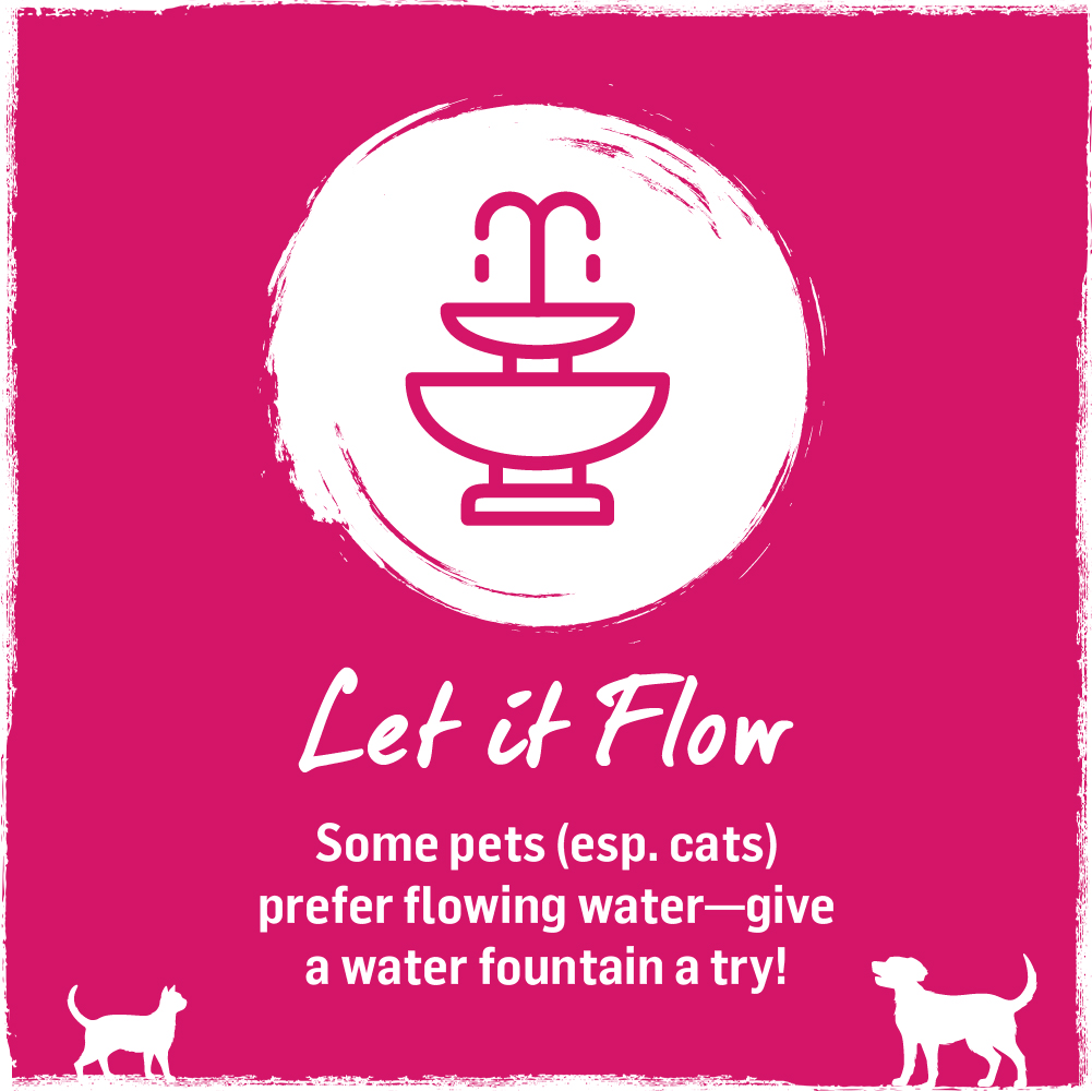 Beyond Pet Food tweet media
