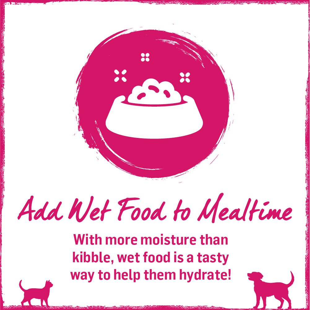 Beyond Pet Food (BeyondPetFood) / Twitter