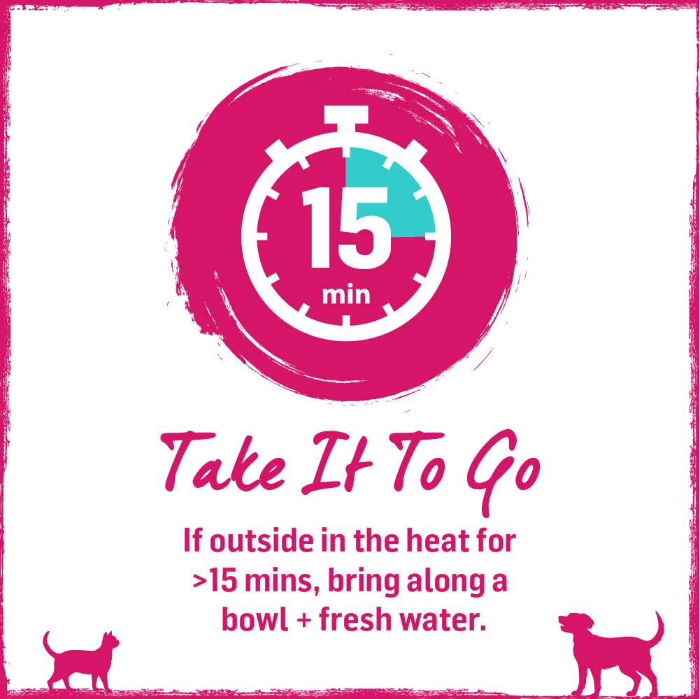 Beyond Pet Food (BeyondPetFood) / Twitter