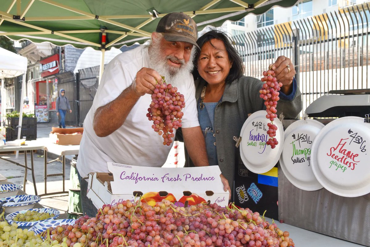 MissionMercado's tweet photo. From the base of Smith Mountain in the town of Dinuba, Tory and Rebecca Torosian bring a bounty of Fantasy, Thompson, and Red Flame grapes to the #farmersmarket today. Stop by to pick up a bundle or a few! 🍇 https://t.co/qIs7x1aKEU